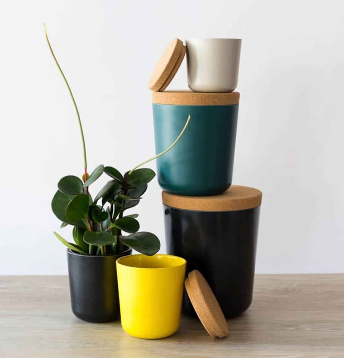 Small Storage Canister - Lemon EKOBO