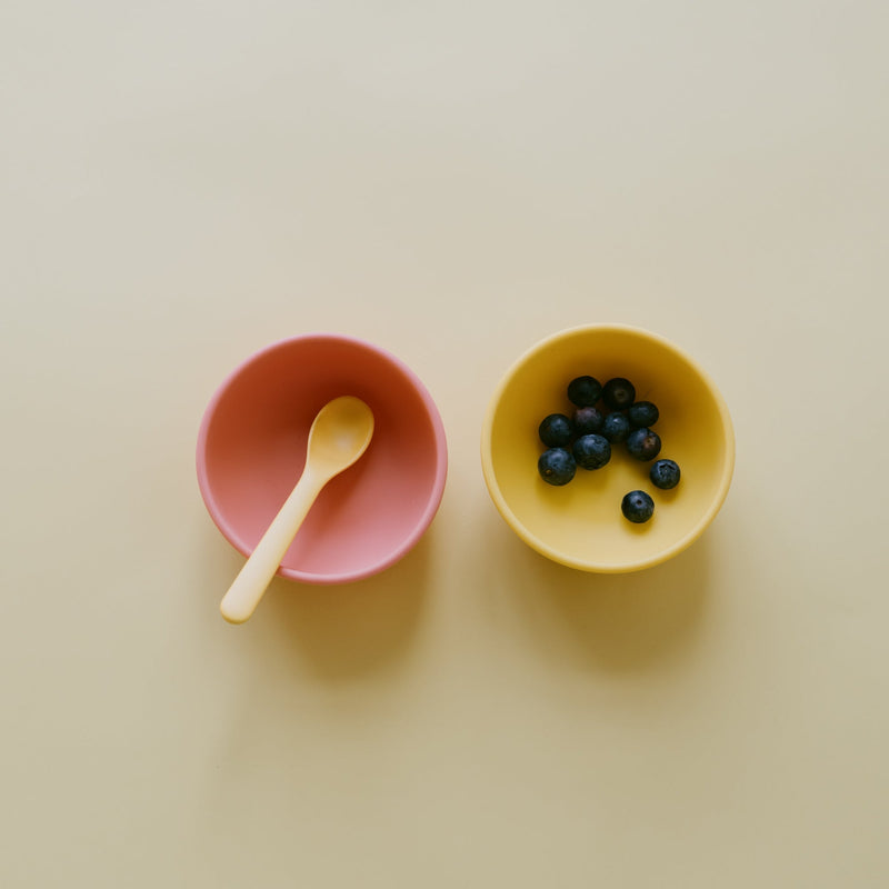 Baby Feeding Bundle - Coral & Mimosa EKOBO 