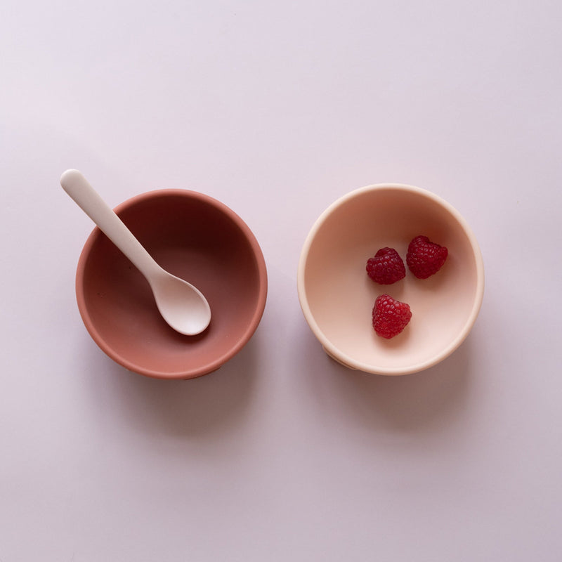 Suction Bowl Set - Blush / Terracotta EKOBO USA 