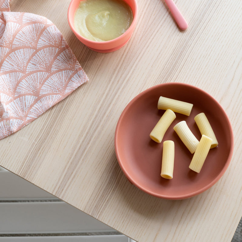 Suction Plate Set - Blush / Terracotta EKOBO USA 