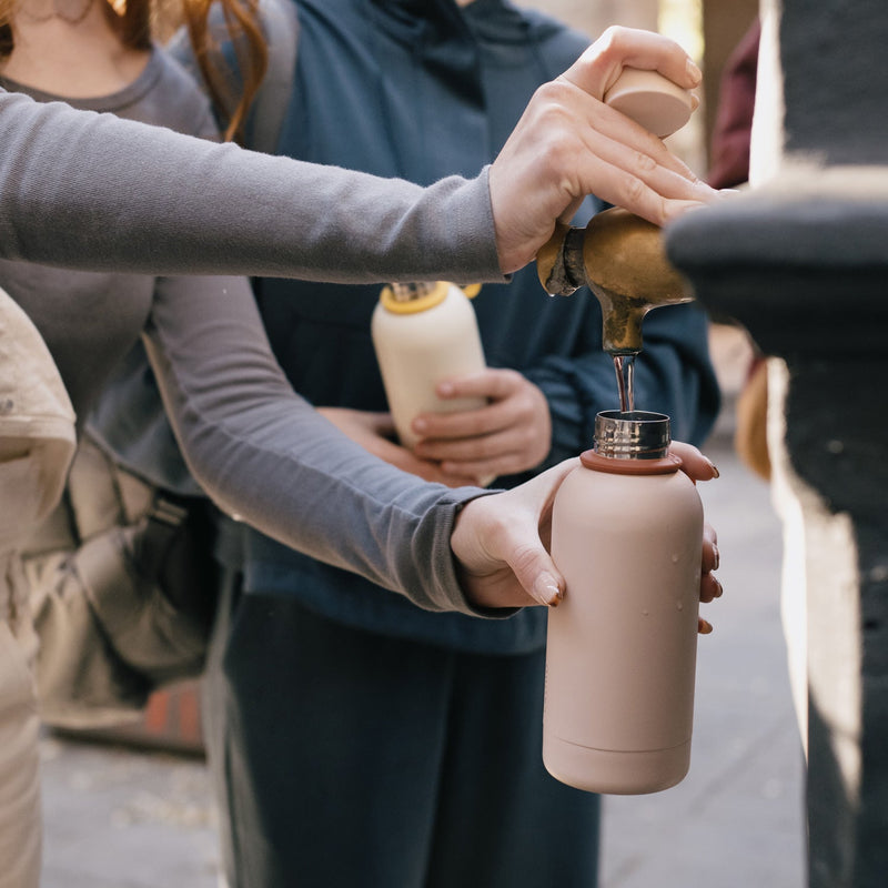 Insulated Reusable Bottle 350ml - Blush EKOBO 