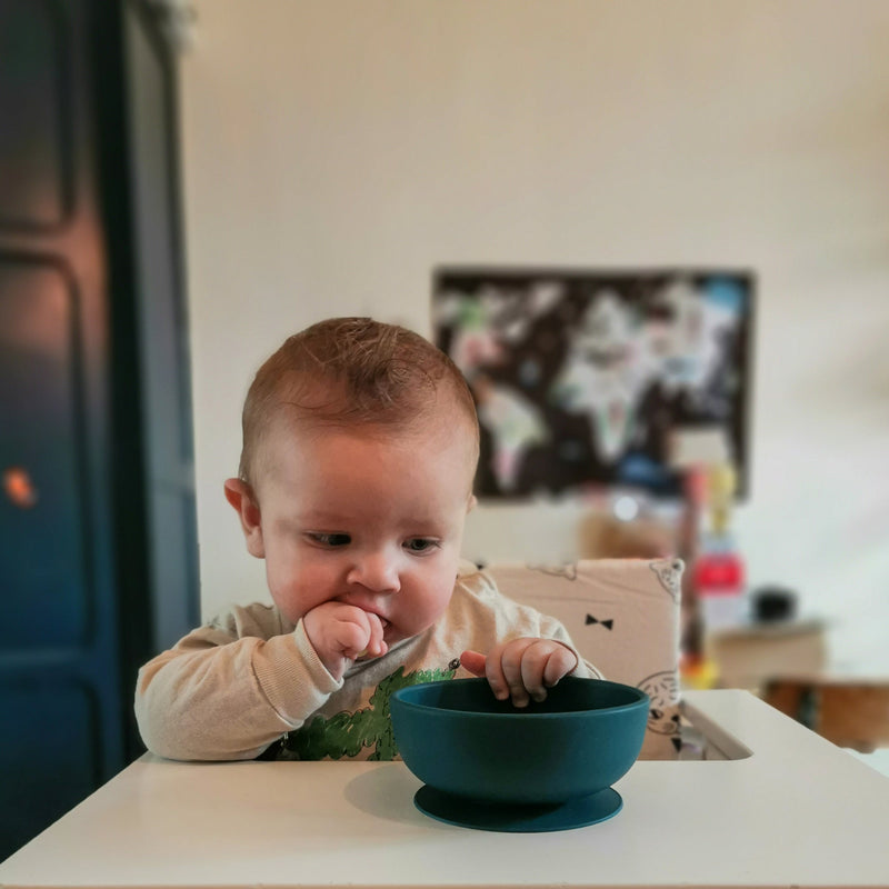 Ekobo - Assiette en silicone à ventouse et compartiments - Cloud - Le Petit  Zèbre